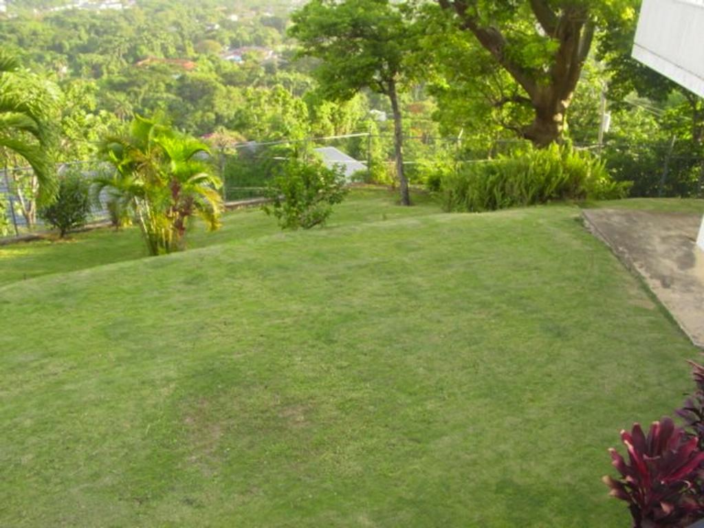 Hill Top Kingston Jamaica المظهر الخارجي الصورة